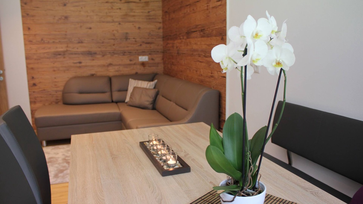 Gortipohl Apartment | New apartment in Gortipohl in a sunny location (Montafon)