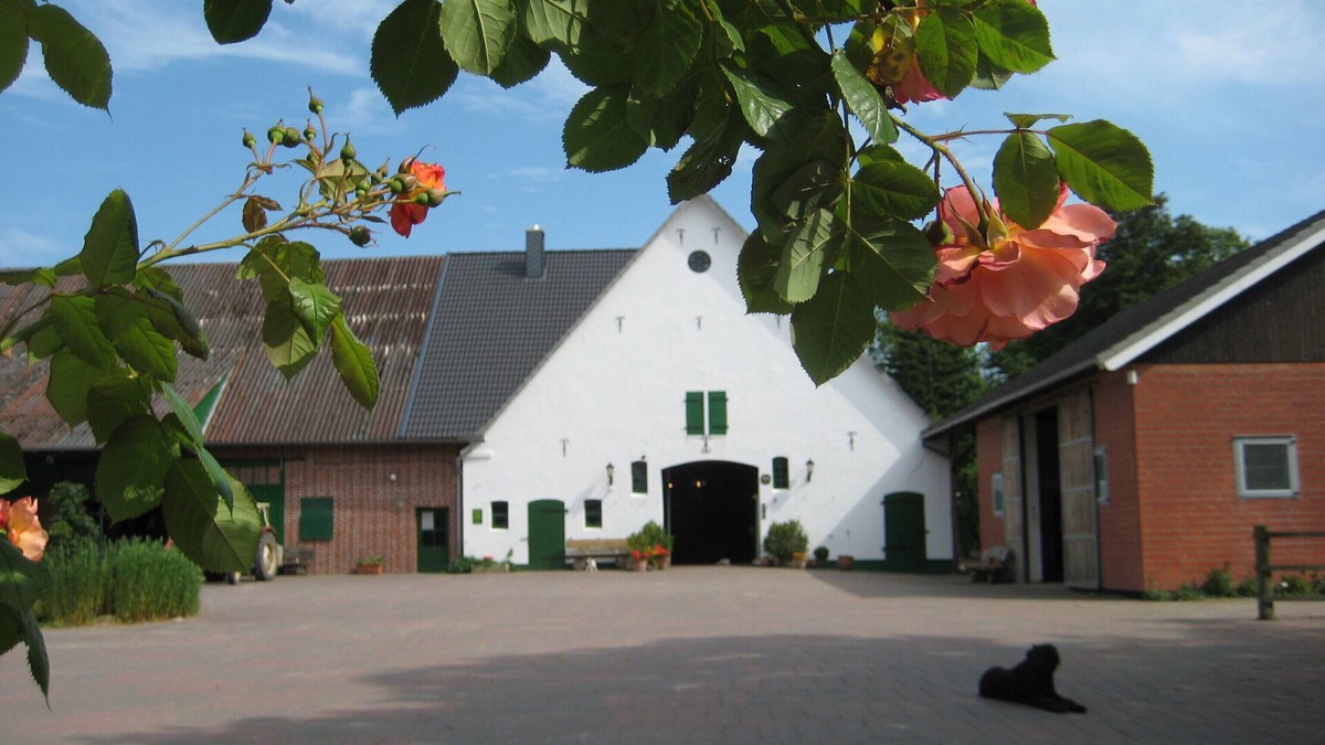 Cappel Apartment | New apartment in the old farmhouse