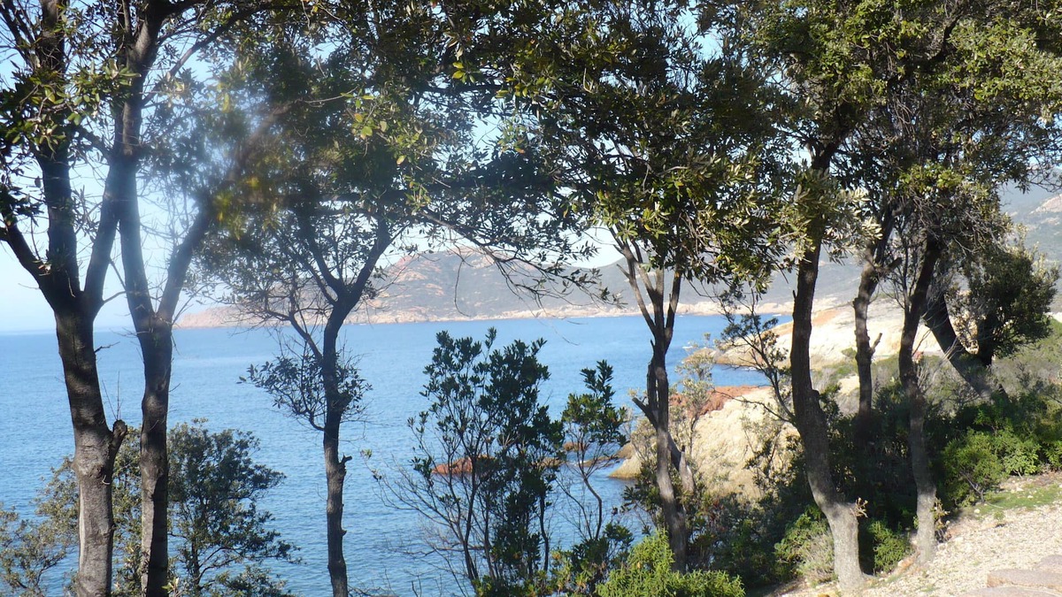 Galeria Apartment | NEW APARTMENT FOR 2 PEOPLE .2 MINUTES WALK FROM THE SEA, HEATED POOL WI FI FREE