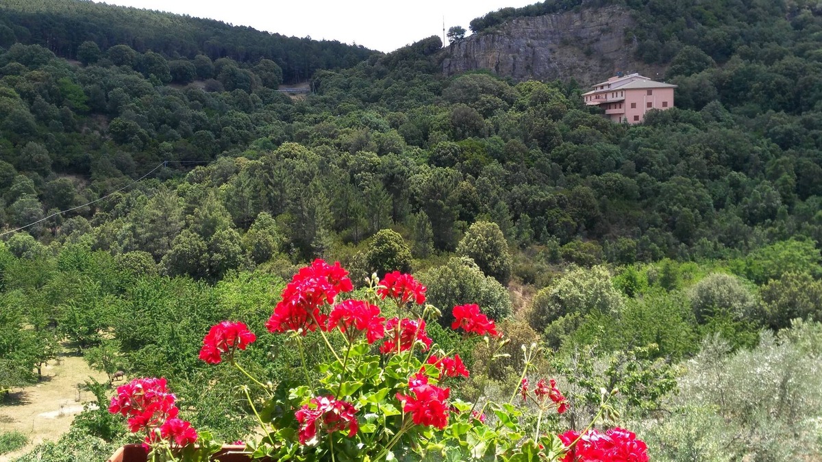 Seulo Condo | New attic!La Ferula, super panoramic house in the mountains-Sardinia, Seulo