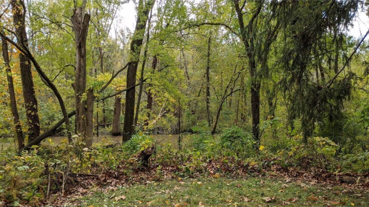 Wheeler House | NEW! Beautiful Riverfront Home on 10 Acres!
