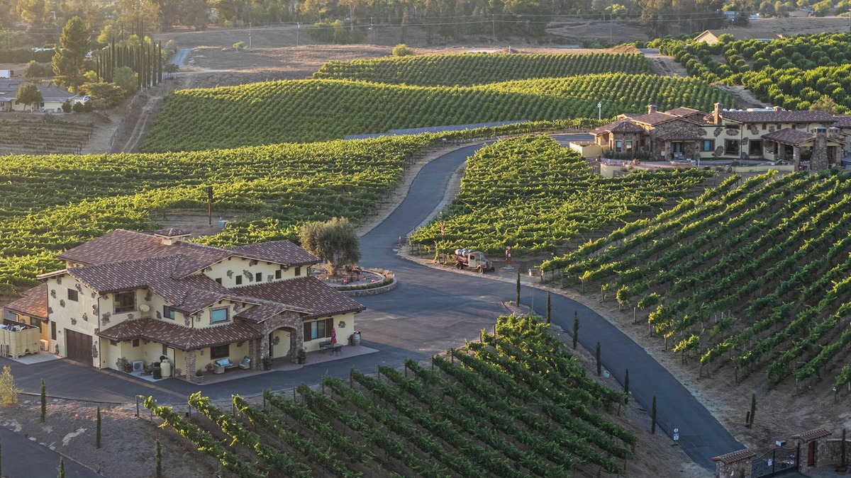 Temecula House | New-Build Temecula Villa with King Suite, Fireplace & Vineyard Views | The Villa
