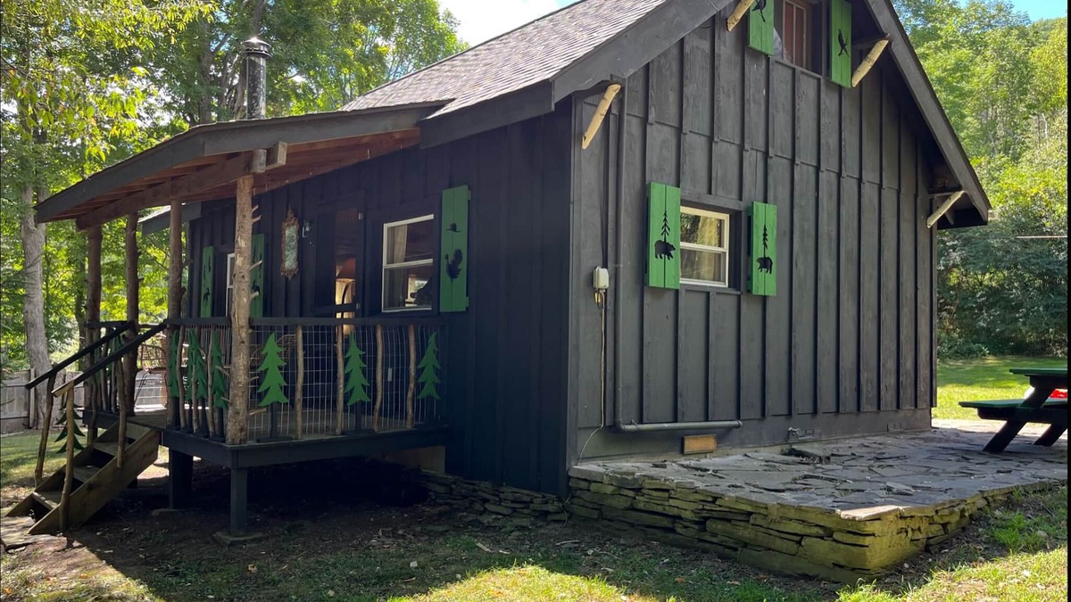Town of Colchester Cabin | *New* Classic Cozy Catskill Mountain Cabin ~ Wood Stove+Soaking Tub