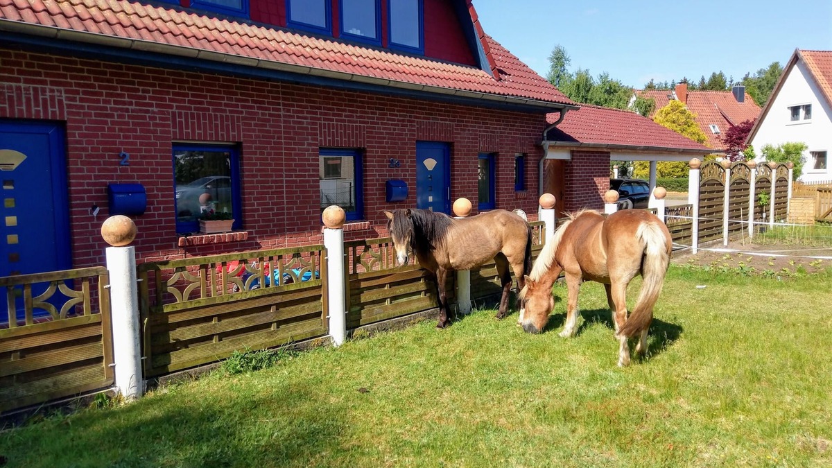Bomlitz House | New Comfortable vacation home145m² garden/barbecue area,800m² playground, leisure park