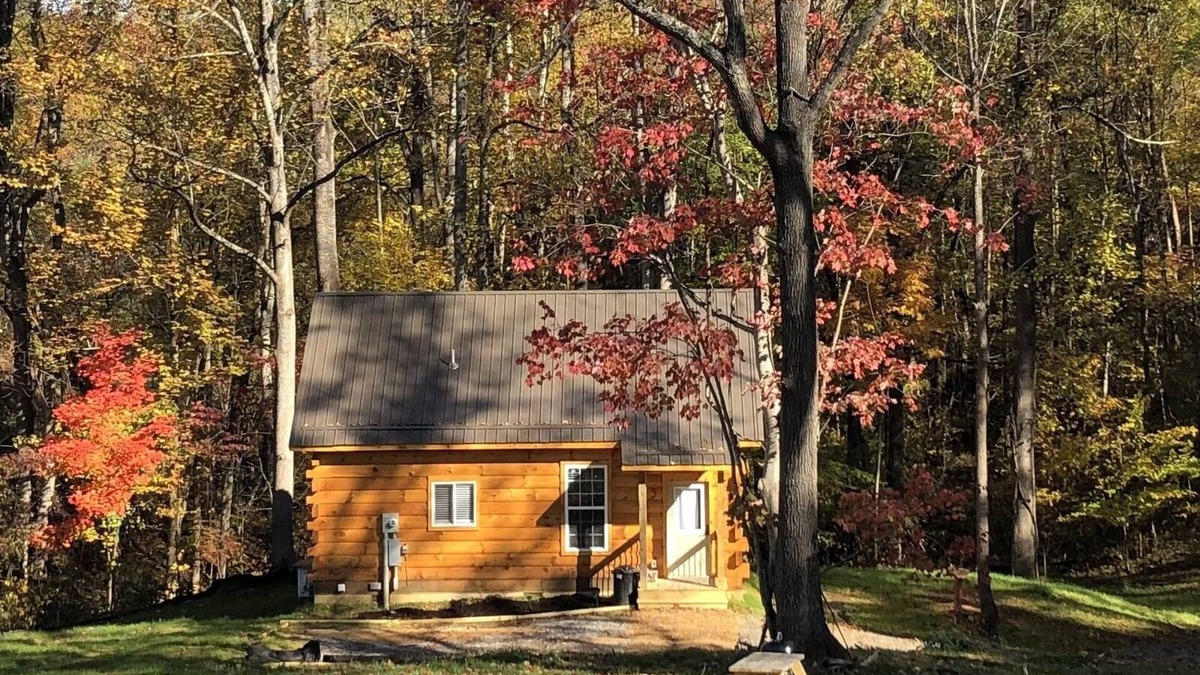 Damascus Cabin | NEW! COZY 6 Guest Cabin in Damascus, VA-CLOSE to Creeper Trial! PET FRIENDLY