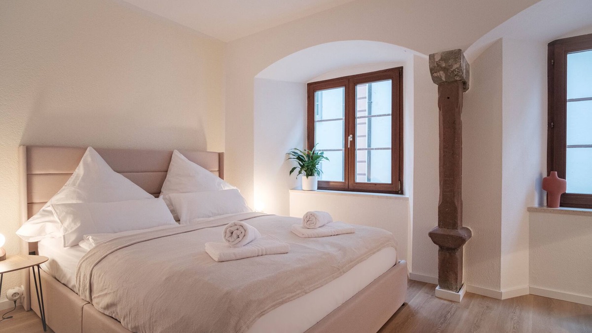 Bad Saeckingen Apartment | new design apartment in the centre of the old town/flexible Check-in/NETFLIX