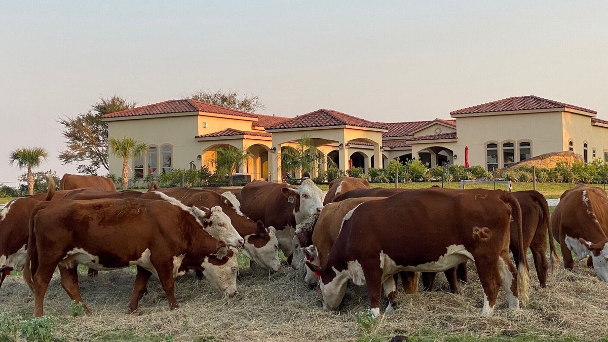 Hempstead Other | NEW Hacienda Ranch W/Resort Style Pool
