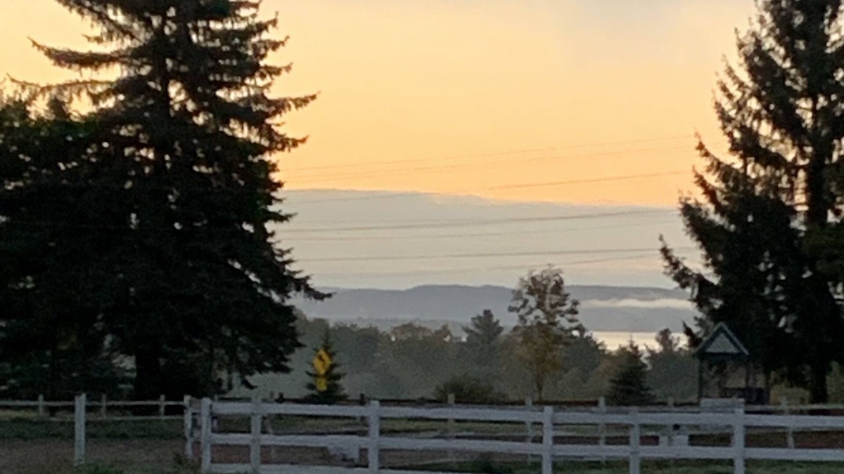 Charlevoix Apartment | New horse farm apartment, centrally located between 3 N. MI. resort towns