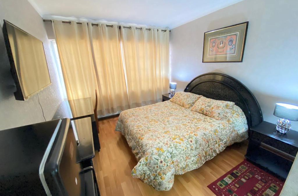 Concepcion Hotel | NEW HOTEL CRUZ DEL SUR