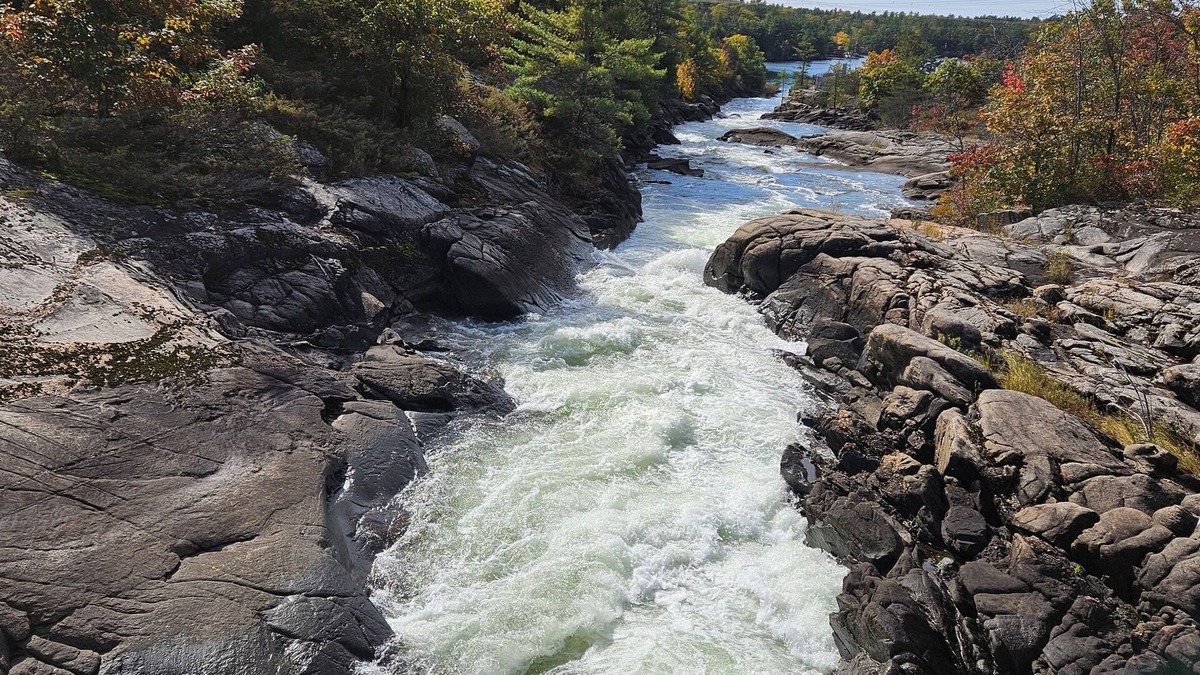 Georgian Bay House | New Lake Front Cottage at Muskoka 15 Min. from Mount St. Louis Ski Resort!