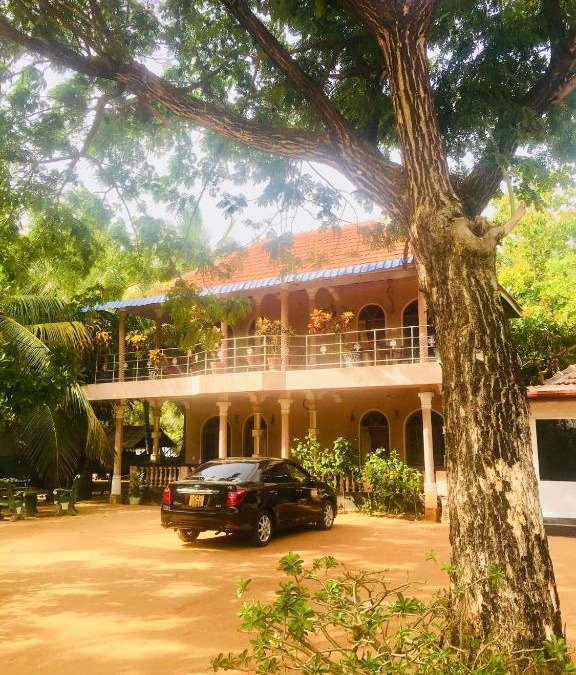Pasikuda House | New Land Guest House