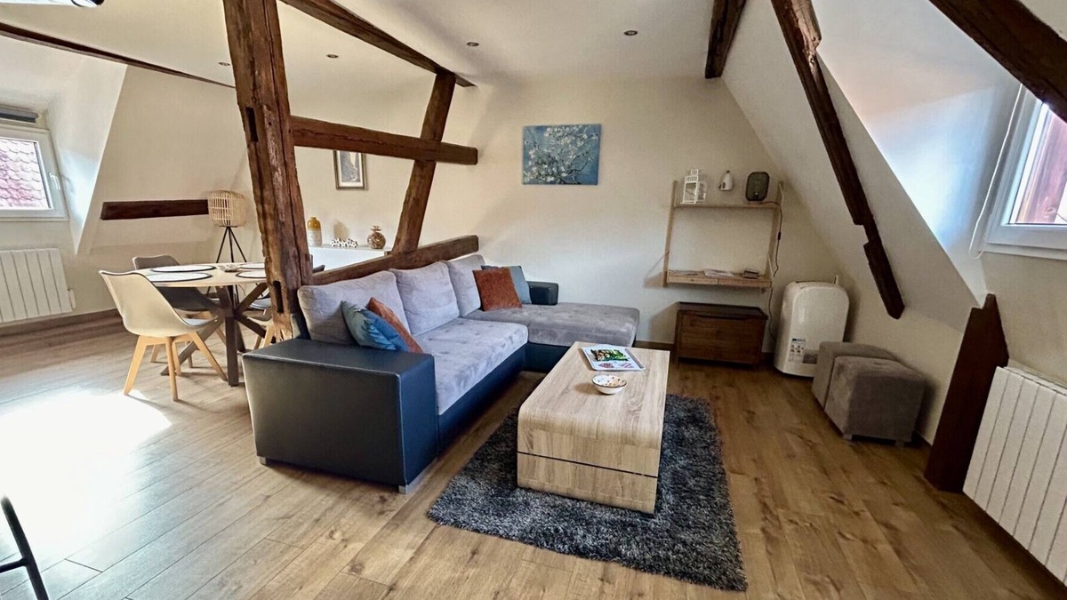 Eguisheim Apartment | New ! Les Toits du Rempart * in the heart of Eguisheim