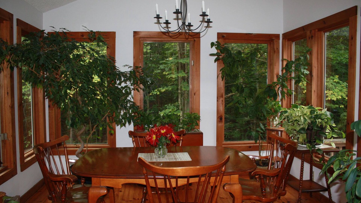 Becket House | New Listing Contemporary Cottage in the Woods viewing a Private Spring Fed Pond