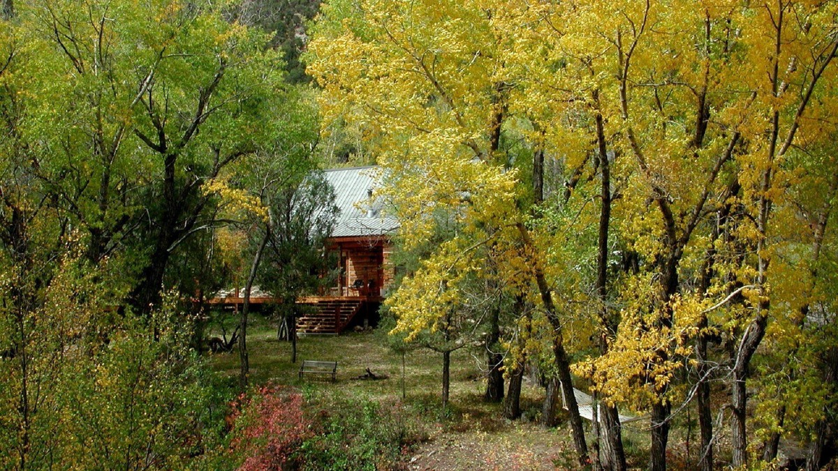 Ridgway House | NEW LISTING! Spectacular setting, Log Cabin w/Cascading Decks to Fishing Creek