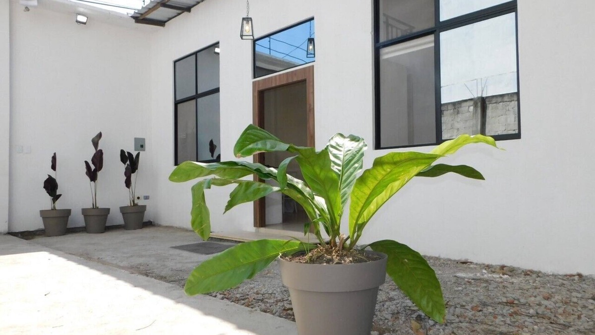 Guayaquil House | New Loft Big Yard Close Great Pool
