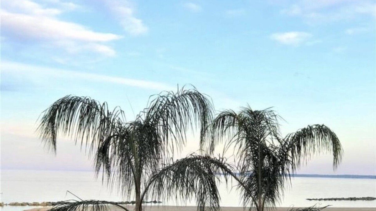 Colonial Beach House | NEW Lovers' Lake View Oasis