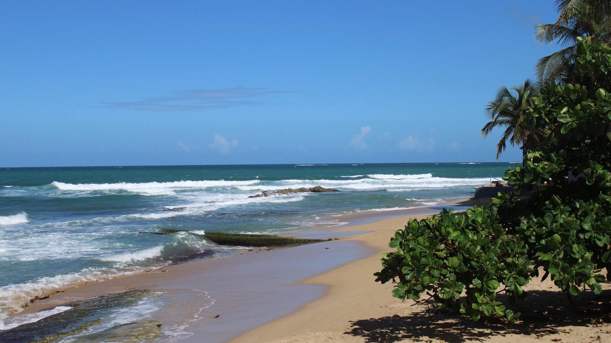 Condado Apartment | New- Luxurious Studio In The Heart Of The Condado Steps From The Beach, Free Wif