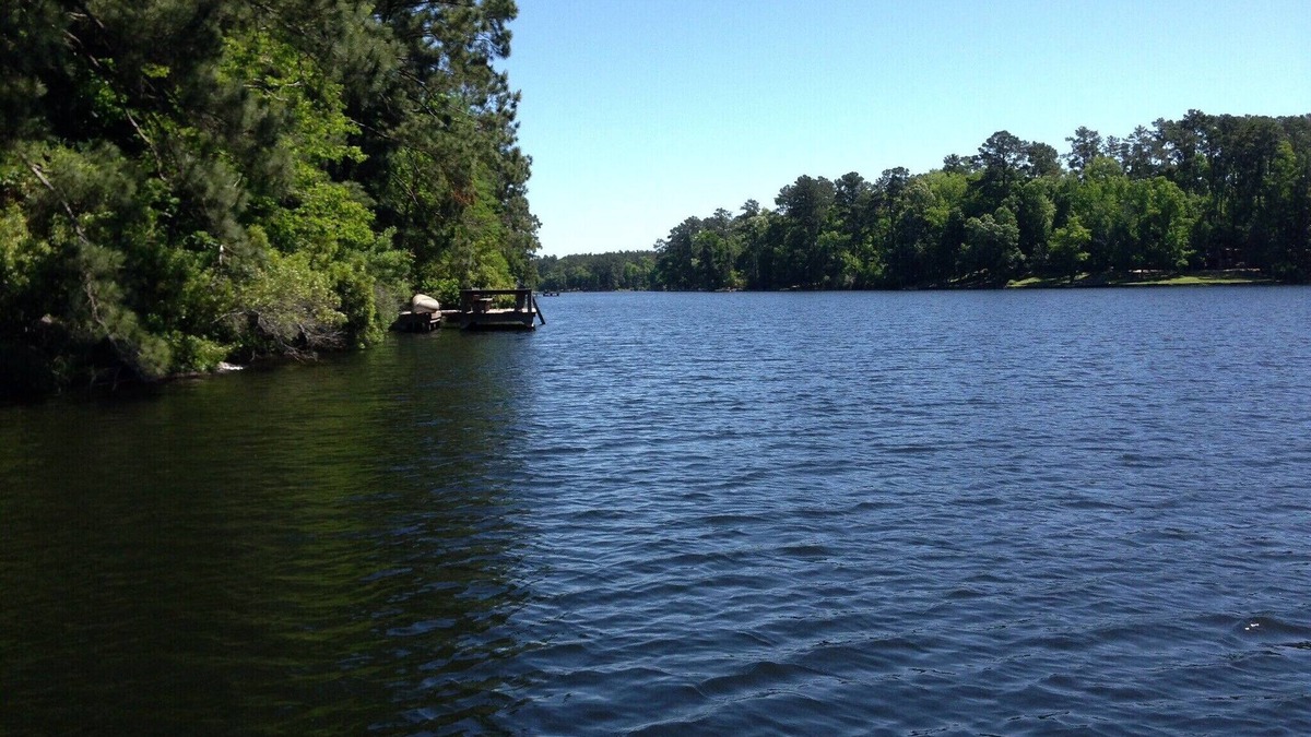 Goodrich House | New Magical Memories-Boats-Campfire-Swim-Hammocks=Fun for All Ages!