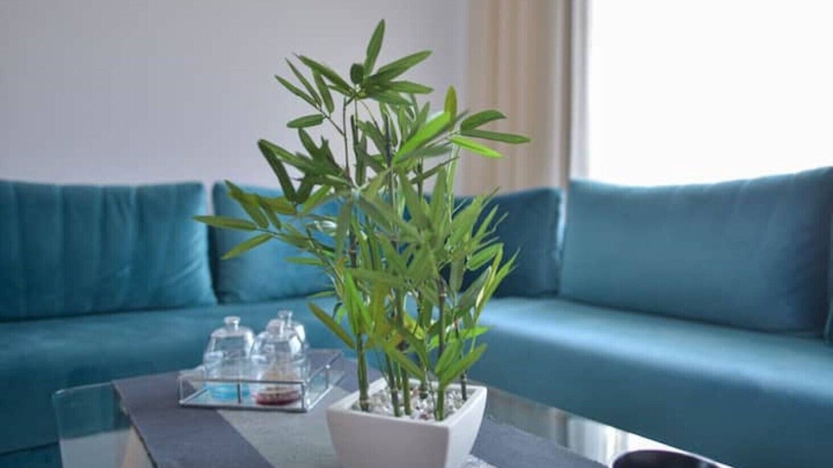 Semlalia Apartment | New Marrakech Apartment - Gueliz