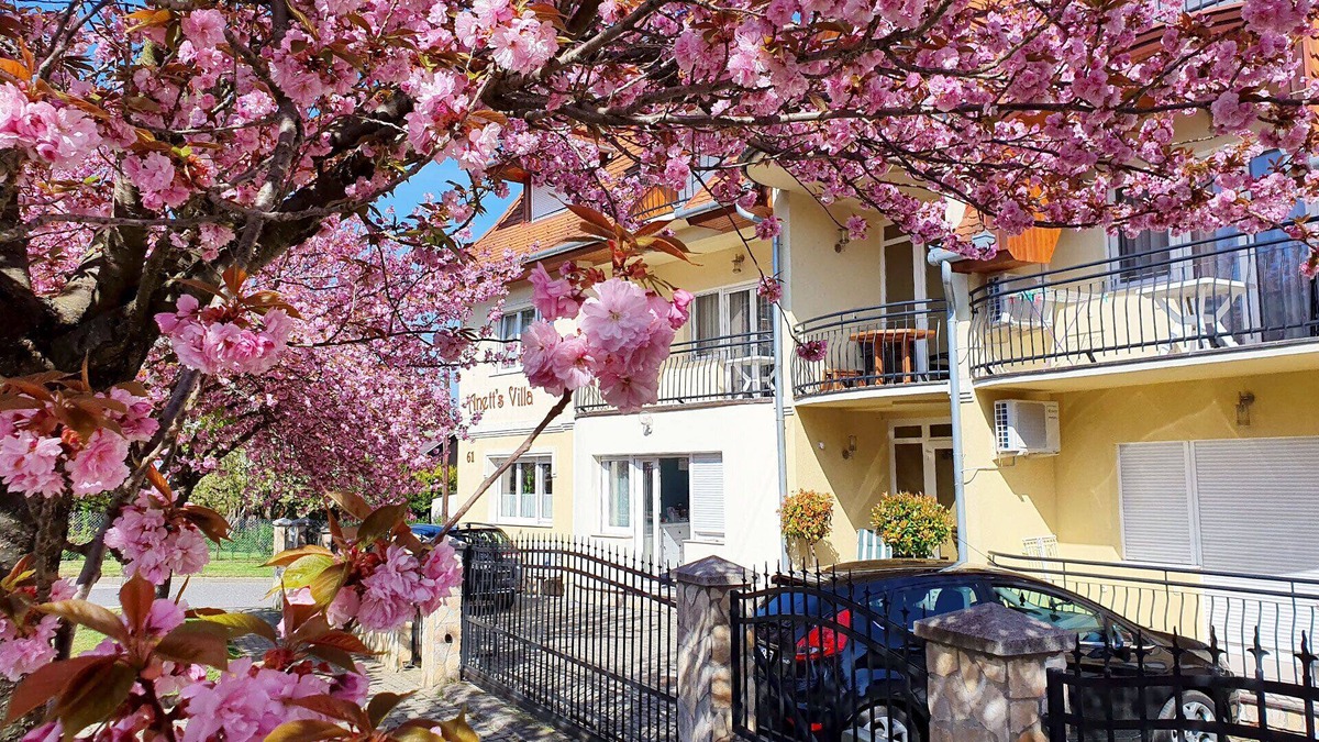 Heviz Apartment | New, modern apartments, bright, friendly and clean! Many regular guests.
