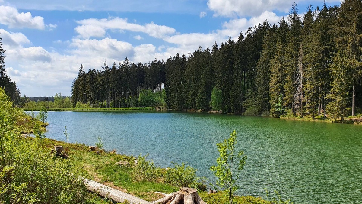 Hahnenklee Apartment | NEW! Oasis of peace on two floors with sun and charm