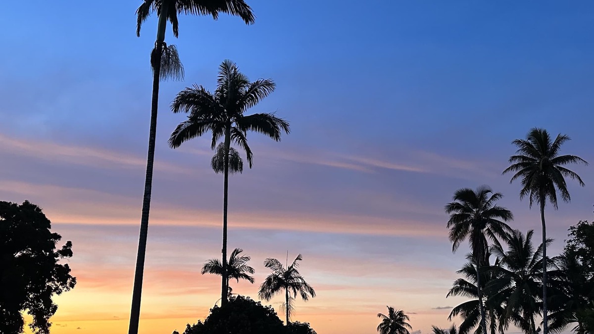Hawaii Island House | NEW! Ocean and stream views on the beautiful Hamakua Coast.