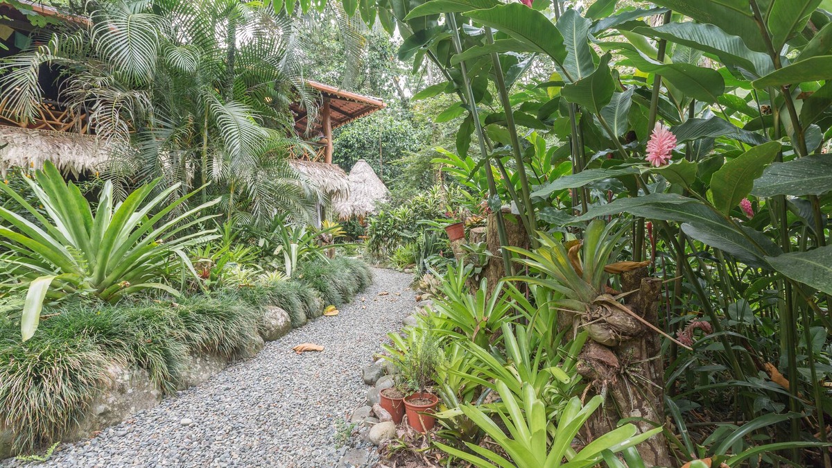 Chiguata House | NEW Pickleball court coming soon! Pool, hot tub, wildlife—we’ve got it ALL!