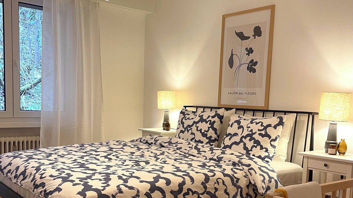 Lucerne Apartment | NEW renovated 2-bedroom City Apartment with Free Parking