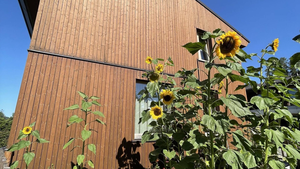 Salzweg House | New vacation cottage in the idyllic Ilz valley. 5 minutes to Passau