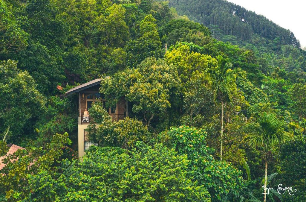 Moragolla Bed & Breakfast | New Villa - Nugaliyadda