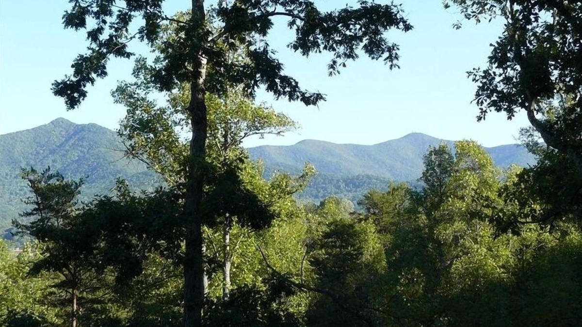 Young Harris Cabin | Newer Cabin with Mountain Views, Near Lakes, Golf