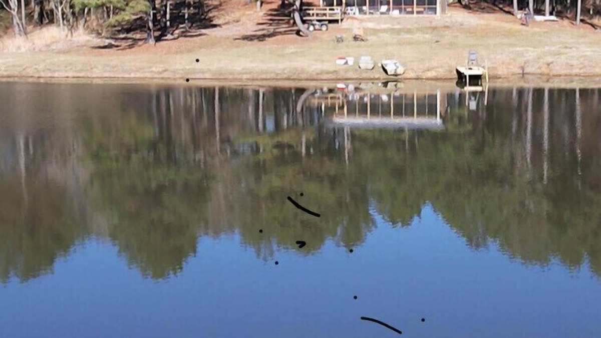 Batesville Cabin | Newly Built Cabin with a 2.5 acre Lake on 120 Acres of Private Land