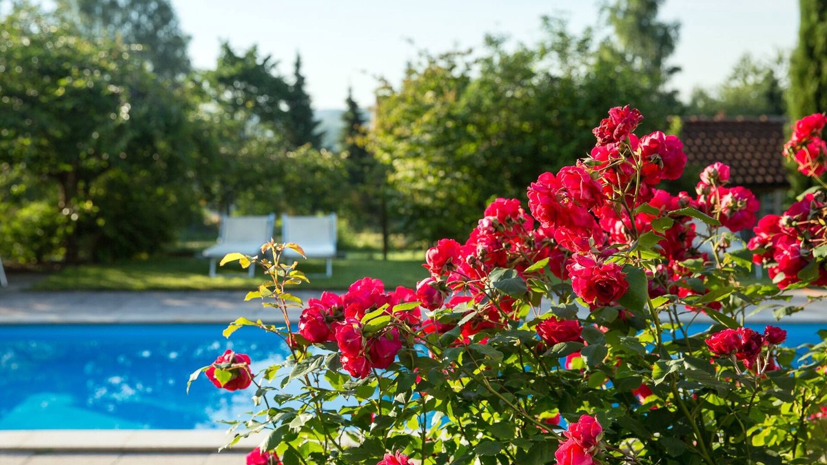 Bitzenhofen Apartment | Newly built, modern 3-room luxury apartments near Lake Constance