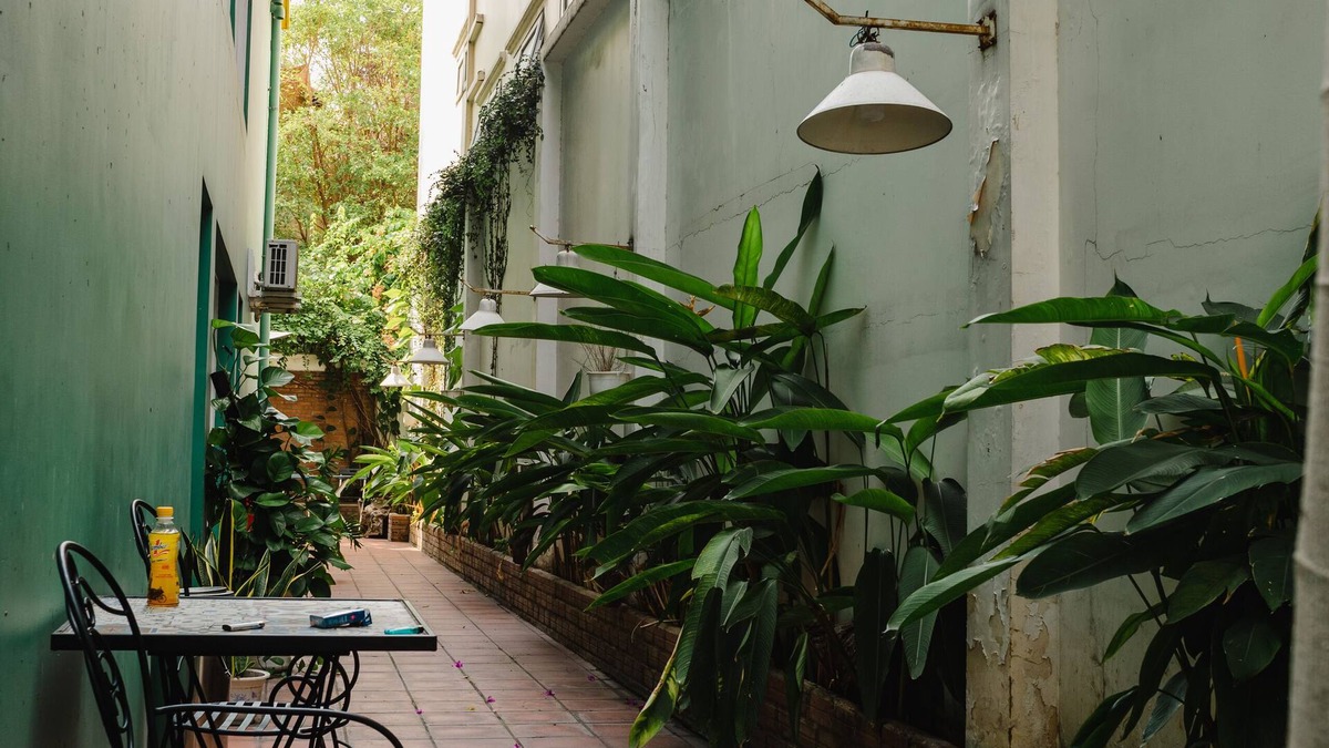 Phuong 6 Apartment | Newly launched modern 1bedroom apartment