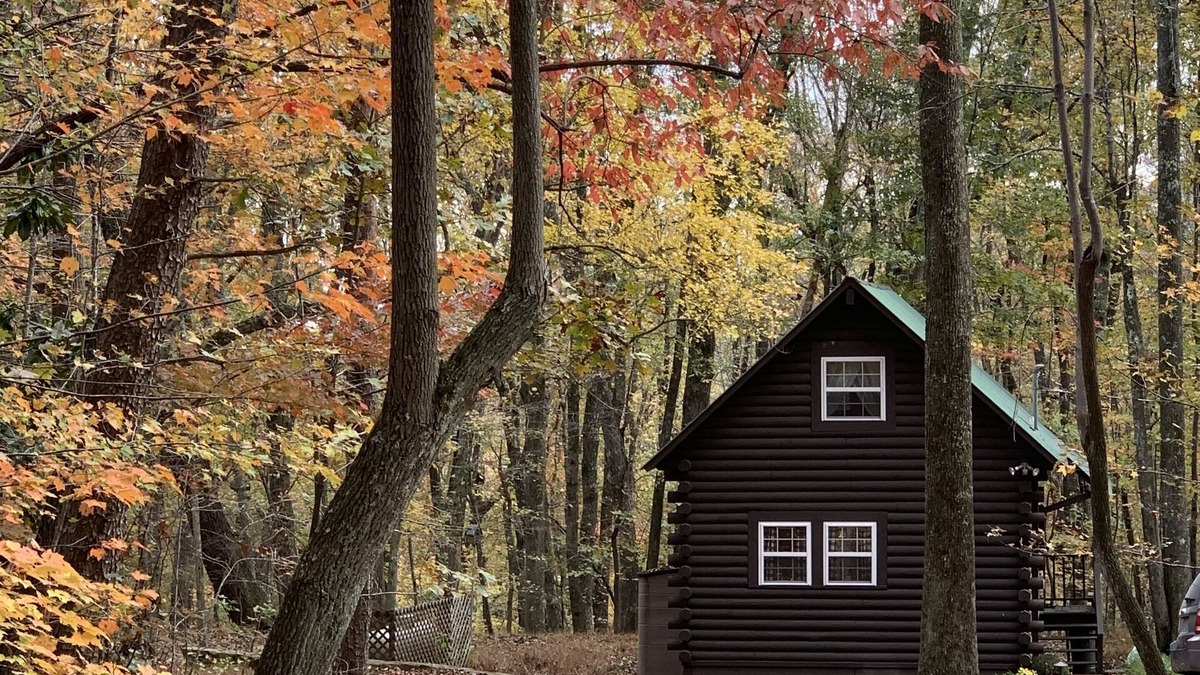 Mentone Cabin | Newly remodeled log cabin near DeSoto State Park & Mentone