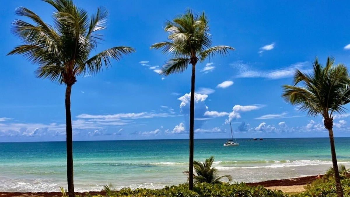 Humacao Condo | Newly remodeled. Breathtaking Luxury Beachfront Condo in Palmas Del Mar Resort