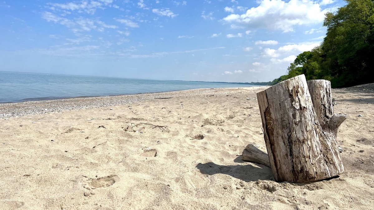 Dashwood Cottage | Newly-Renovated, 3-Bedroom Cottage + Bunkie, Steps to Private Beach, Grand Bend!