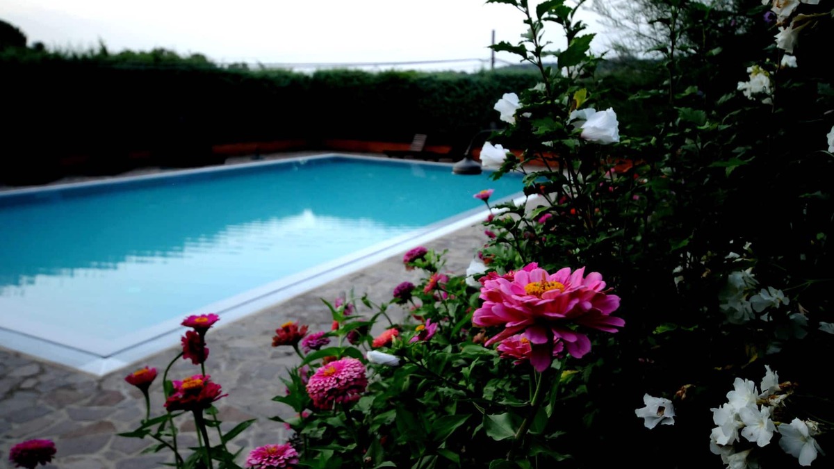 Montegabbione Apartment | Newly renovated apartment on the ground of organic farm, infinity pool