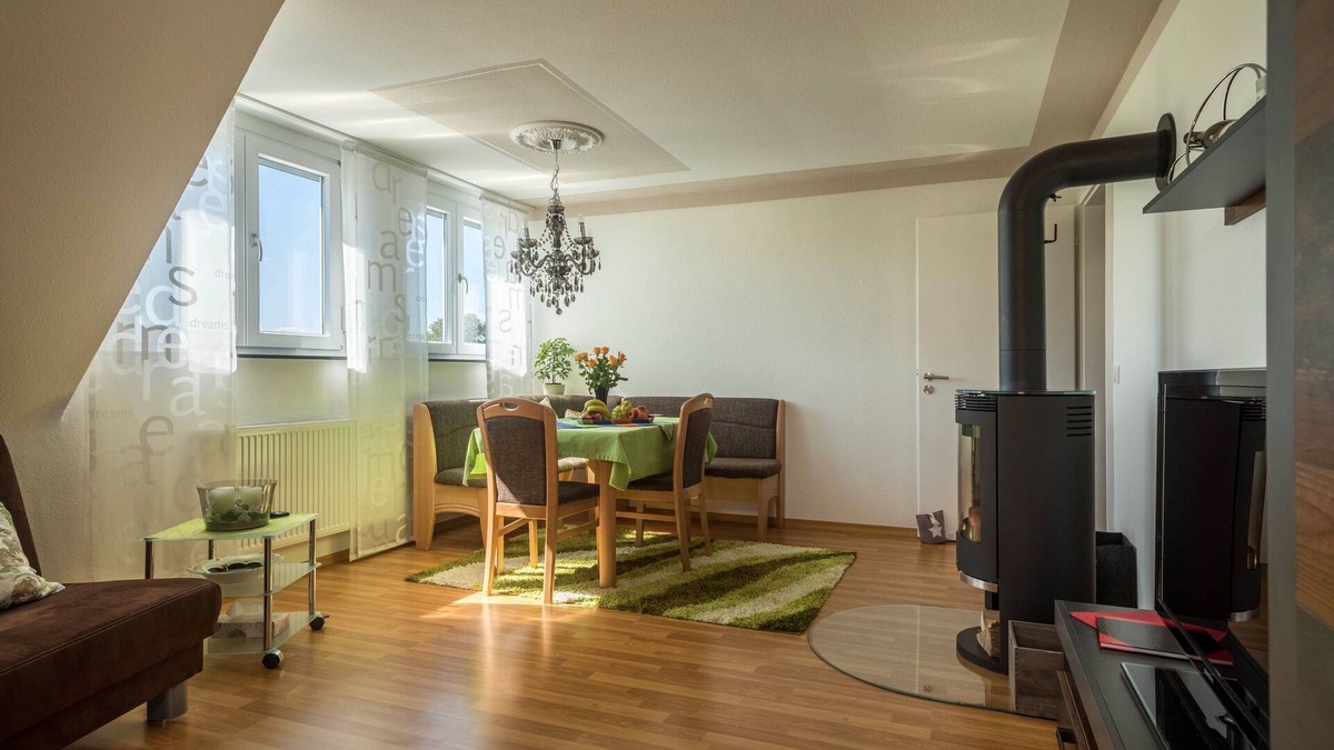 Lochbrucke Apartment | Newly Renovated Apartment “Ferienwohnung Schürer” near Friedrichshafen