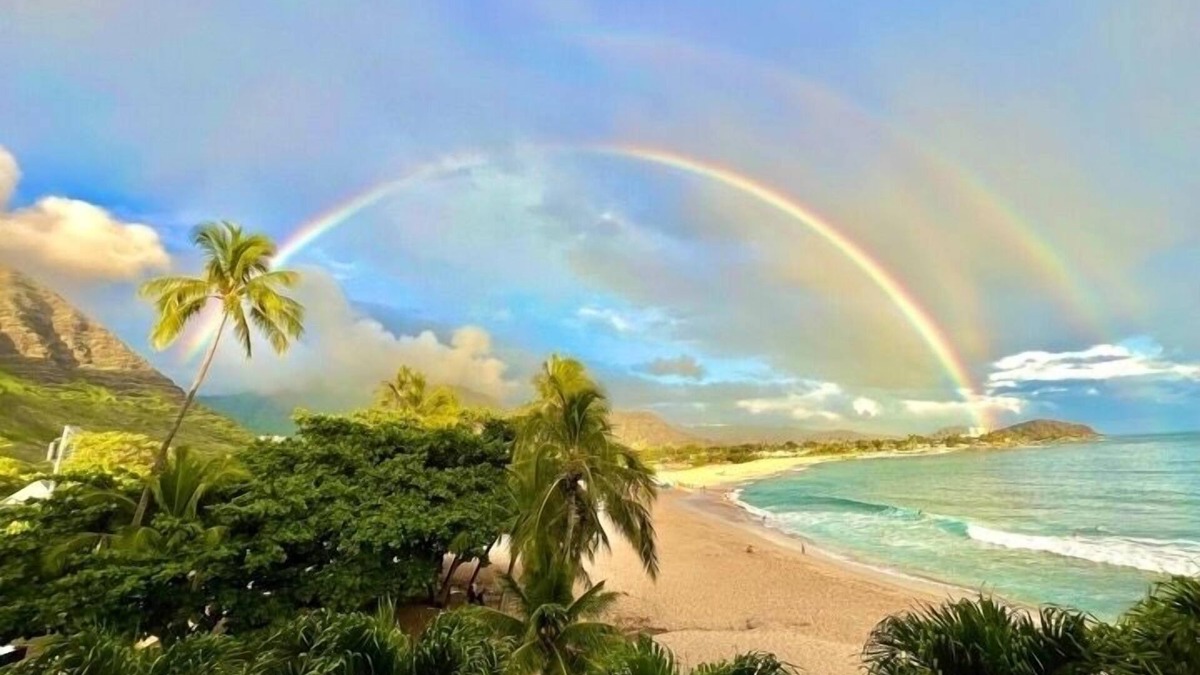 Makaha Apartment | Newly Renovated Beachfront Studio with Free Parking and All-in-one Washer/Dryer