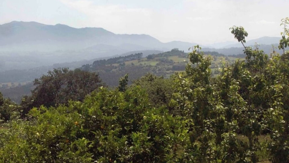 Colunga House | Newly Renovated Designer House 10 mins from Beach, Great location