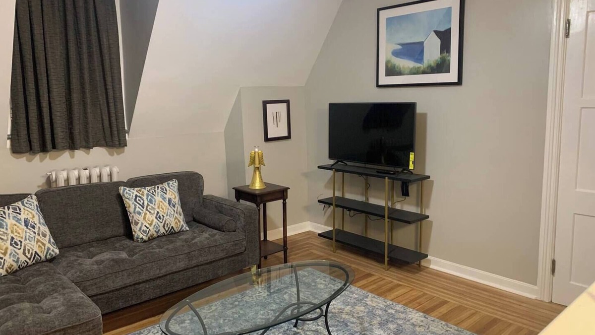 Albany Apartment | Newly Renovated Modern Look Historical Building