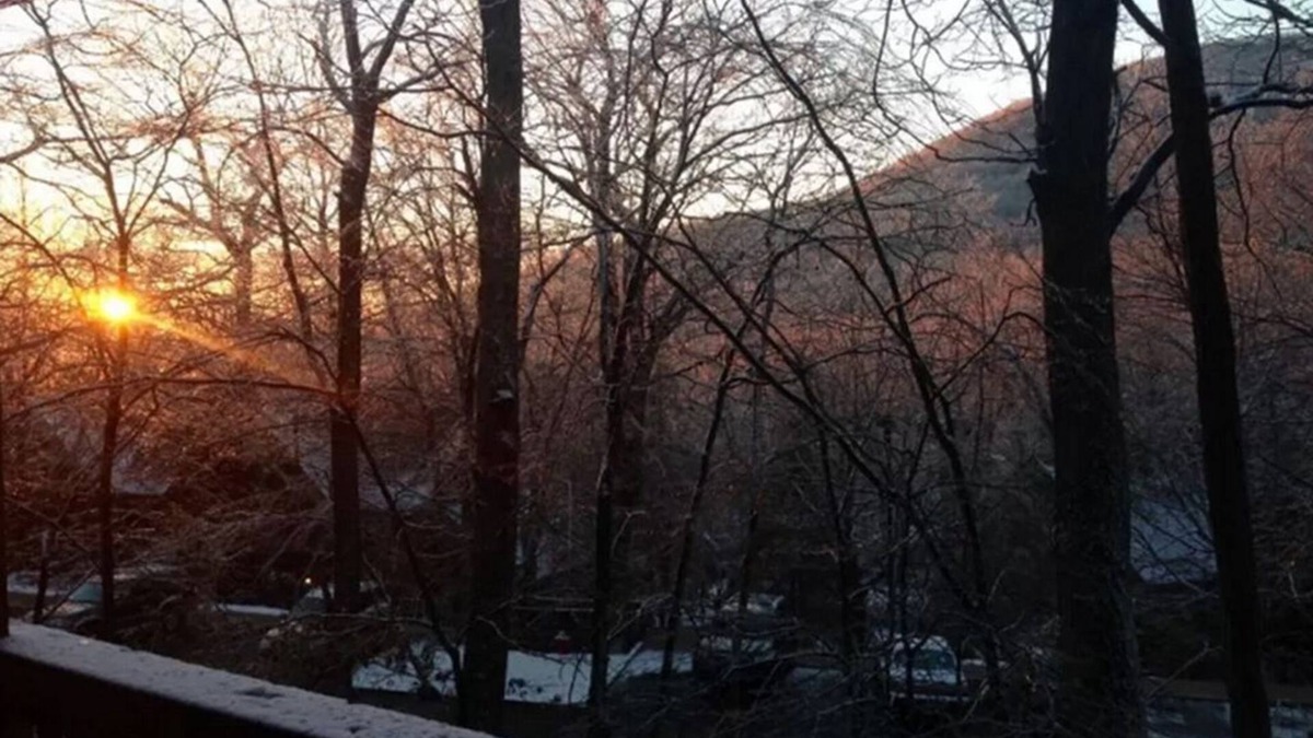 Wintergreen Condo | Newly Updated Cozy Condo in the Heart of Wintergreen! Pet friendly.