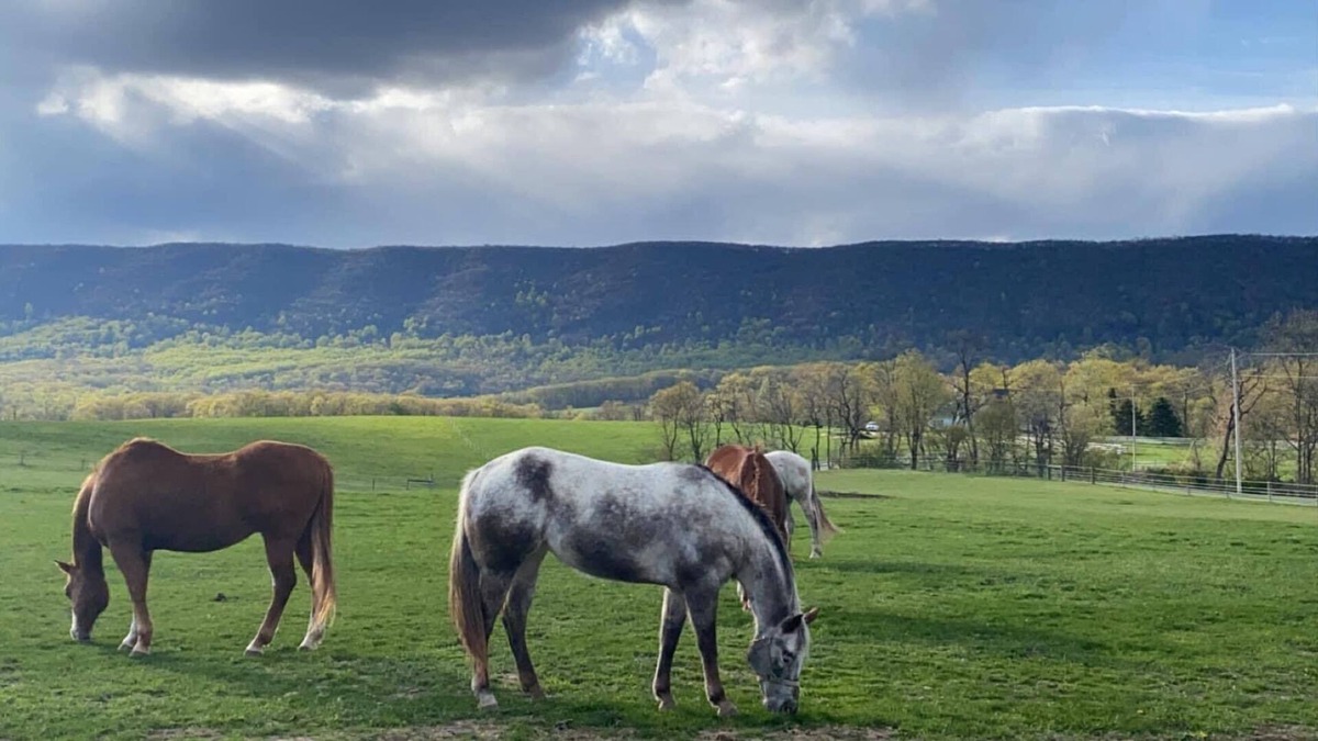 Newville House | Newville, Pennsylvania - Horse Farm Campsite