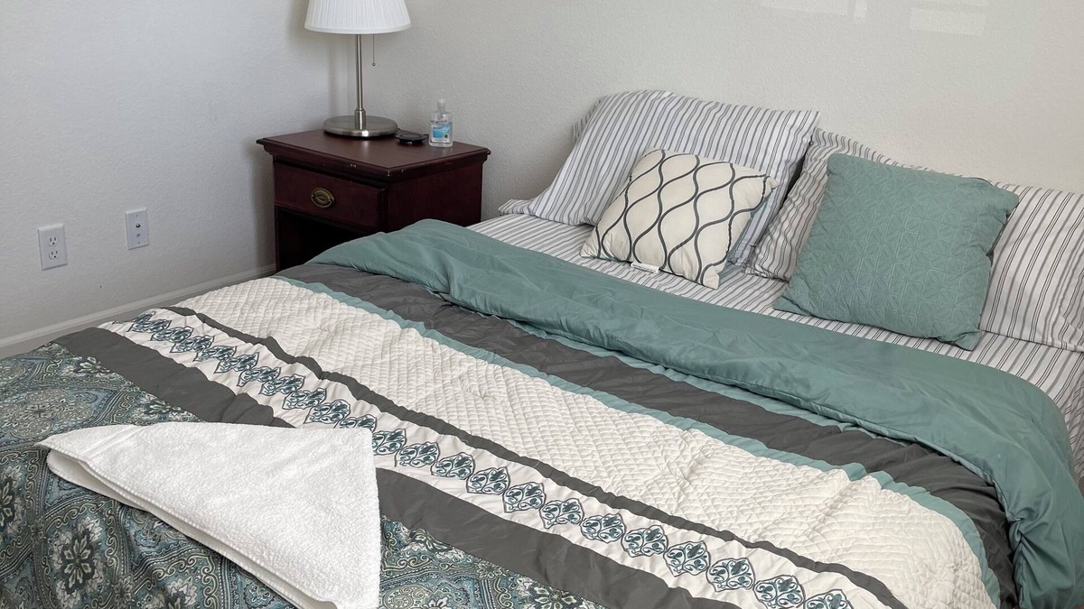 Roseville Apartment | Next gen Furnished place in Roseville one bath, 1 bed