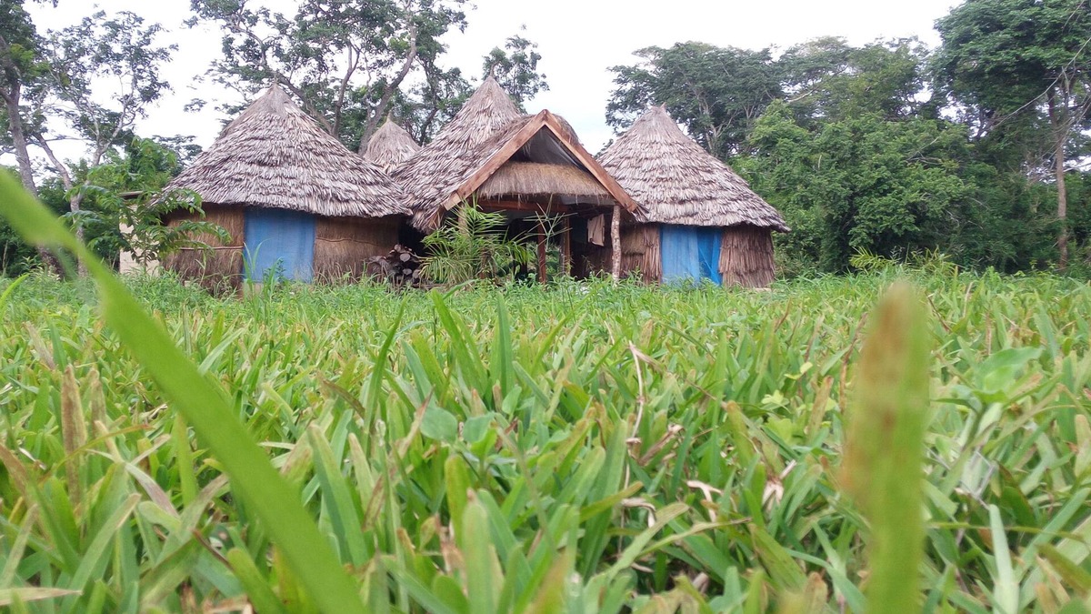 Ubena Bwawani Cabin | Ngerengere River Eco camp