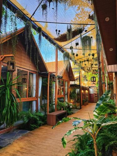 Long Xuyen Hotel | Nhà Của An Homestay, Coffee & Spa Long Xuyên