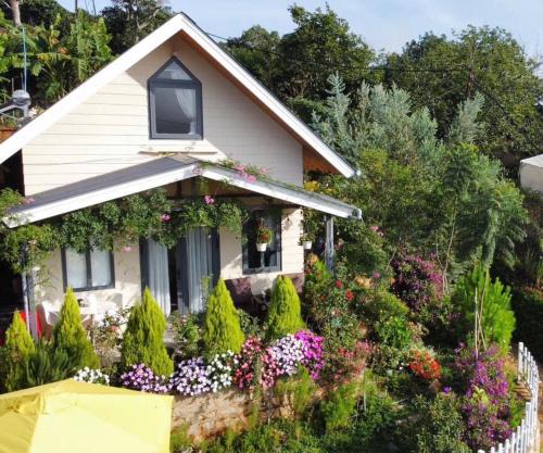 Da Lat House | Nhà Hoa Nắng Homestay Cầu Đất Đà Lạt