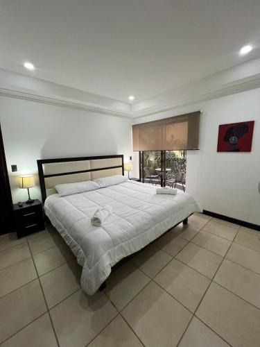 Escazu Apartment | Nice and confortable 2 bedrooms apartment in Escazu