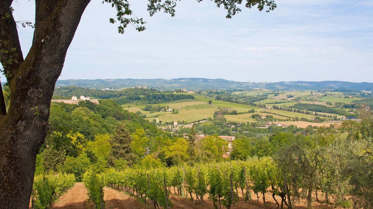 Castel San Gimignano Apartment | Nice apartment in Castel San Gimignano